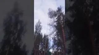 паре арех