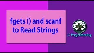 fgets () and scanf to Read Strings