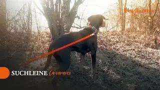 HUNTER | Suchleine Convenience