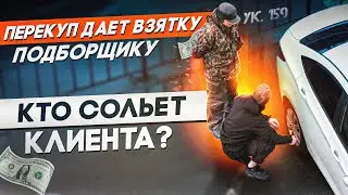 Перекуп даёт взятку подборщику. Кто сольёт своего клиента?