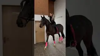Clip clop x Barbie vibes 🐴💕 