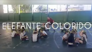 Jogos e Brincadeiras - Elefante colorido