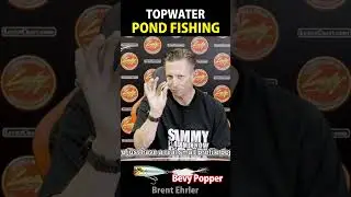 Pond Fishing Topwater Technique【Summer 06, 07, 08】【Fall Feed 09, 10】