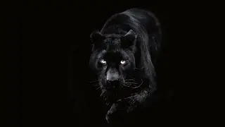 [Free] Night lovell type beat 
