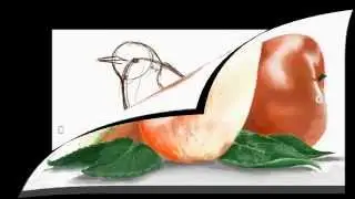 Ivabella Channel YouTube Official Trailer.