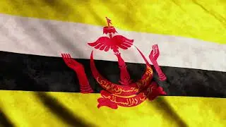 No Copyright Brunei Darussalam flag Waving  | Stock Footage Video