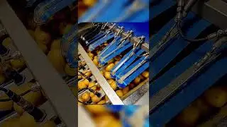 БОГАТЕЙШИЙ МУЖИК КРАСНОДАРА 💰🥔