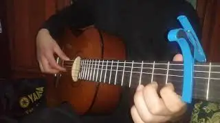Шашмаком бо гитар