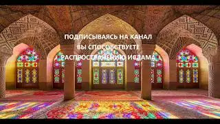 Шейх Мехмет Эфенди. Путь успешных