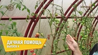 Дачная помощь // Выпуск 4 @zagorodny