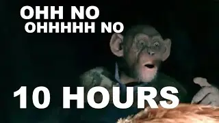 OH NO Monkey Meme 10 HOURS