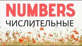 Numbers - всё о ЧИСЛАХ в английском: как говорить номера телефнов, автобусов, домов. Числительные