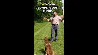 Simple Retrieving Drill - Teach Back Hand Signal
