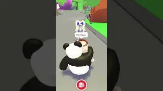 ОТВЕТЬ НА 3 ВОПРОСА И ПОЛУЧИ ПЕТА😱