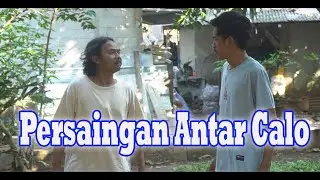 Persaingan Antar Calo