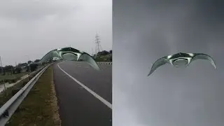 aliens/fish alien/green screen flying alien/UFO/creature/animation/3d characters/palani /graphics