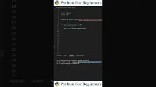 How To Connect To An API With Python | Python For Beginners