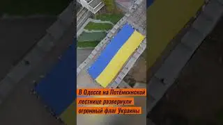 В Одессе на Потёмкинской лестнице развернули огромный флаг Украины