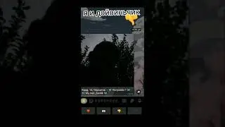 смешное видео /я и дойвиньчик/😂💍