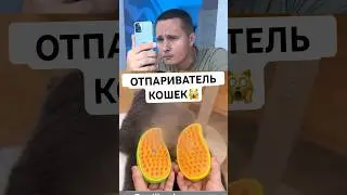 ПРОВЕРИЛ ОТПАРИВАТЕЛЬ ДЛЯ КОШКИ❌✅ #shorts