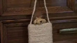 F1 Savannah cat, Amara Rose,  saves her baby!