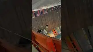 Atraksi yang di larang tiru, kusuh profesional