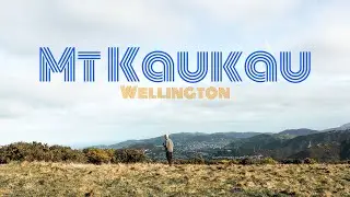Exploring the hills of Wellington | Mount Kaukau Climb