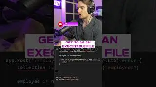 What is the best tool to run Go on a server? 