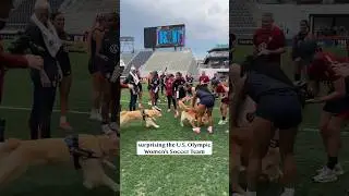My dogs surprise the U.S. Olympic Women's Soccer Team! 