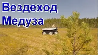 Гусеничный вездеход 