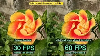 The best technique to stabilize your video is to convert it to 60 frames per second (FPS)