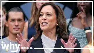 Why does Kamala Harris have a big leg up when it comes to campaign donations?