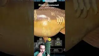 Огромный трофейный зеркальный КАРП ● Русская Рыбалка 4 | РР4