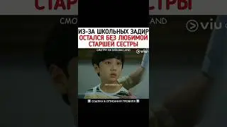 Из-за школьных задир остался без любимой старшей сестры 