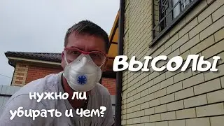 Как очистить Высолы на кирпиче и подготовка основания! Важно!