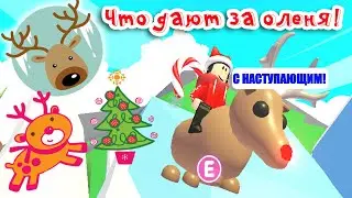Что ДАЮТ за КОРИЧНЕВОГО ОЛЕНЯ в Адопт Ми/Я его Обменяла!!!ТРЕЙДЫ/ROBLOX/Adopt Me