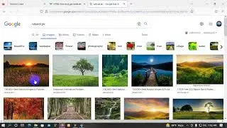 Laravel 9  image upload