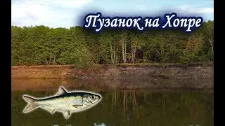 Пузанок на Хопре. Русская Рыбалка 3.99.