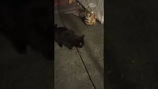 Рыба моей мечты! 🤗