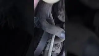 Хруст подшипников