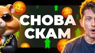 ЛОЖЬ СОЗДАТЕЛЕЙ HAMSTER KOMBAT // ХОМЯК ВЫРАСТЕТ ДО ЦЕНТА