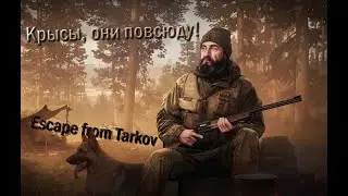 Тарков - ЖИЗНЬ ПОСЛЕ ВАЙПА (ДУО) ЧАСТЬ 6