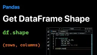 How to get Shape of Pandas DataFrame - Examples | ProgramGuru.org