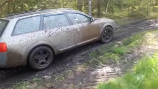 Audi Allroad/ Ауди Allroad/ Offroad