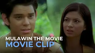 The winged lovers’ strange reunion | Mulawin The Movie