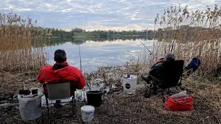 Хотим Одолеть Карася! Рыбалка с Ночевкой на Тетеринском Водохранилище. Фидер на Чесночные Пуфики.