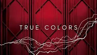Zedd True Colors - Empire State Building - 