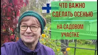Что нужно сделать осенью на садовом участке.Как сохранить уличную герань до весны.Котлеты с секретом