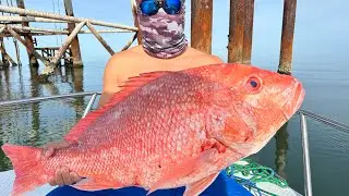 You must try! I’m on the boat. Red snapper sashimi with Asian twists. Will make you hungry #mukbang