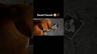 Dead friends 💔🥺🥀